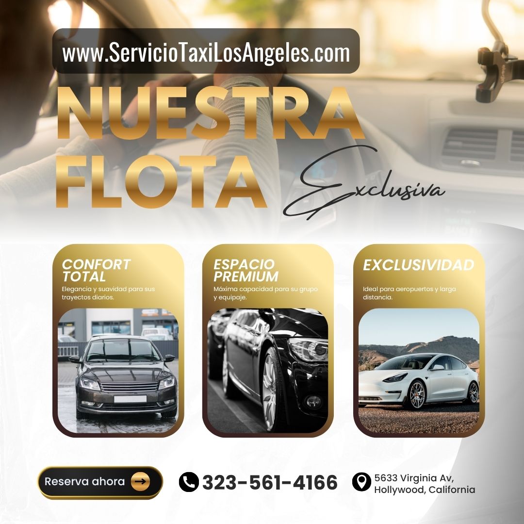 flota exclusiva servicio taxi los angeles